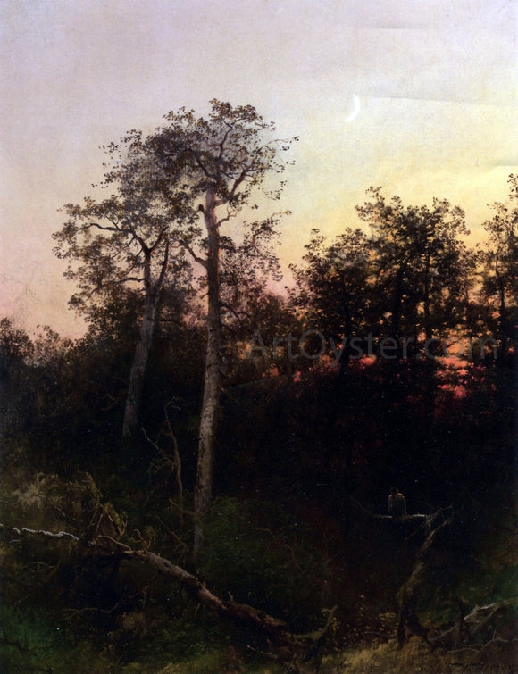  Herman Herzog Florida Sunset - Canvas Art Print