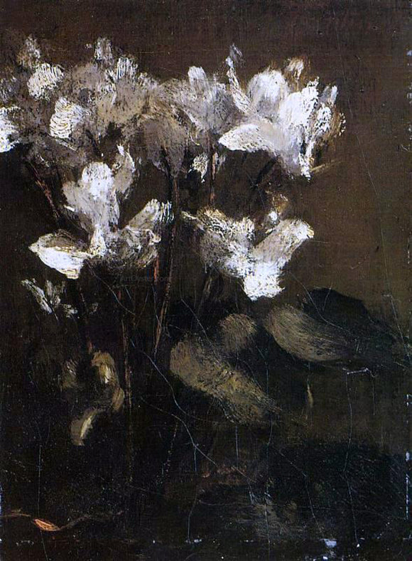  Henri Fantin-Latour Flowers, Cyclamens - Canvas Art Print