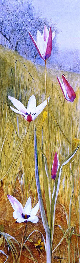  Henry Roderick Newman Flowers in a Landscape - Canvas Art Print