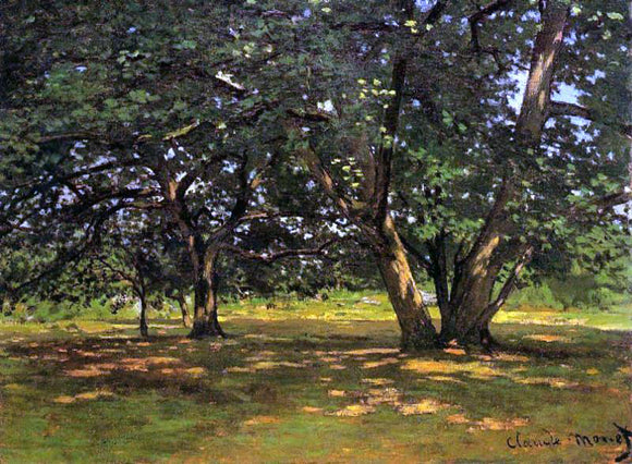  Claude Oscar Monet Fontainebleau Forest - Canvas Art Print