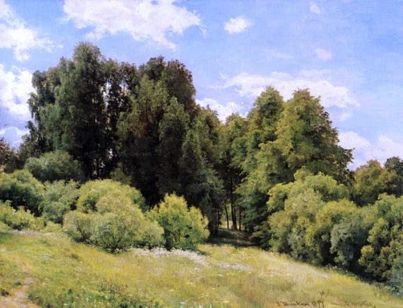  Ivan Ivanovich Shishkin Forest Glade - Canvas Art Print