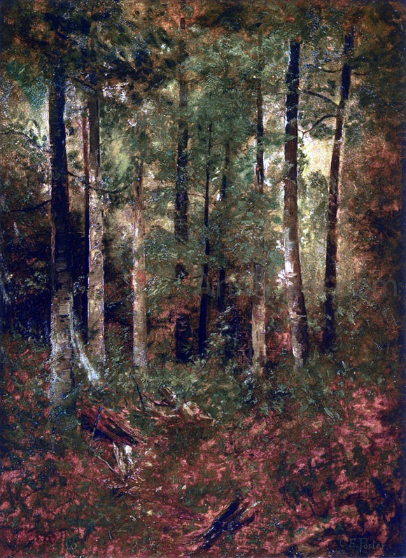  Charles Ethan Porter A Forest Scene - Canvas Art Print