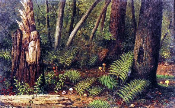  William Aiken Walker Forest with Ferns and Mushrooms - Canvas Art Print