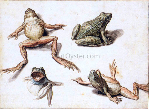  Jacob De II Gheyn Four Studies of Frogs - Canvas Art Print