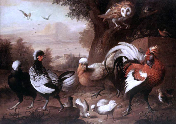  Jakab Bogdany Fowls and Owl - Canvas Art Print