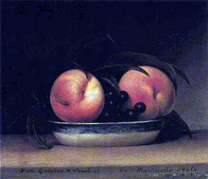  Raphaelle Peale Fox Grapes and Peaches - Canvas Art Print