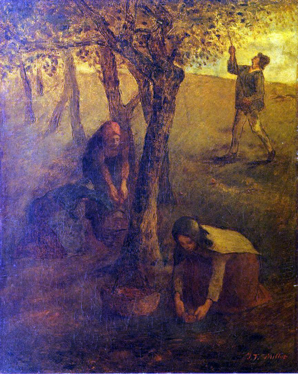  Jean-Francois Millet Gathering Apples - Canvas Art Print