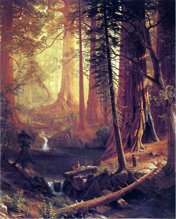 Albert Bierstadt Giant Redwood Trees of California - Canvas Art Print