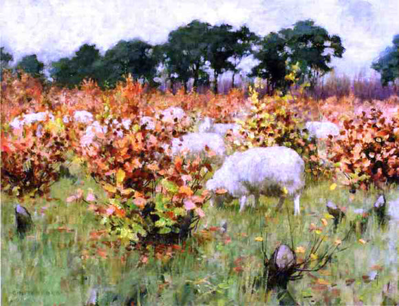  George Hitchcock Grazing Sheep - Canvas Art Print