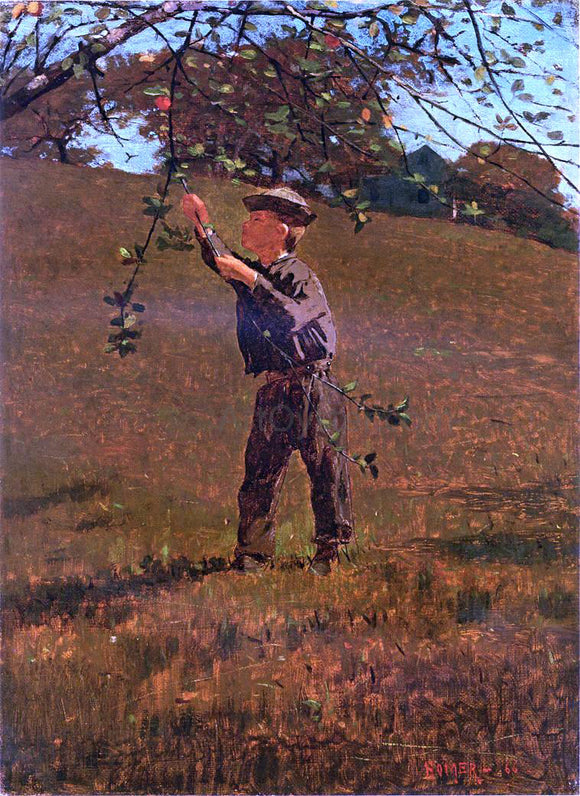  Winslow Homer Green Apples - Canvas Art Print