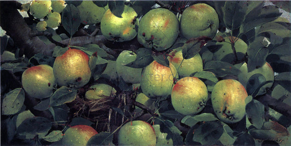 Joseph Decker Green Apples - Canvas Art Print