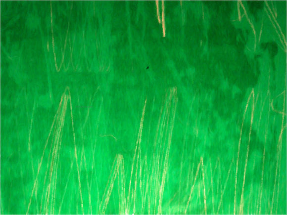  Our Original Collection Green Grass Abstract - Canvas Art Print
