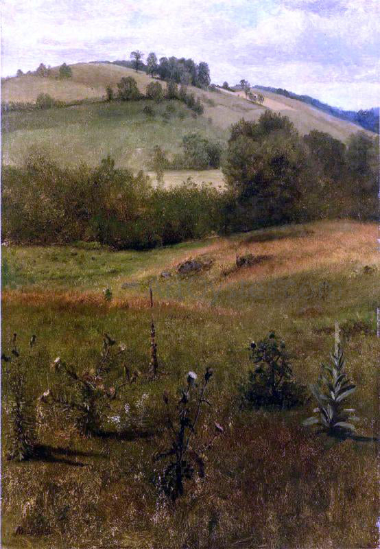  Albert Bierstadt Green Mountains, Vermont - Canvas Art Print
