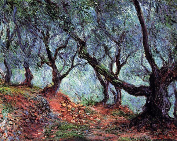  Claude Oscar Monet A Grove of Olive Trees in Bordighera - Canvas Art Print