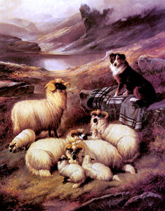  John Barker Guarding his Flock - Canvas Art Print