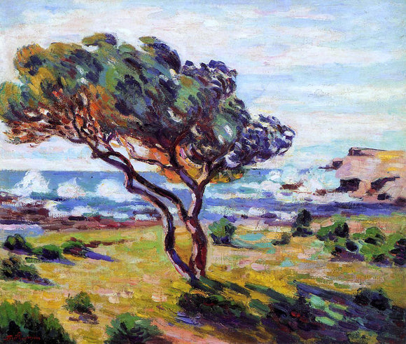 Armand Guillaumin Gust of Wind, le Brusc - Canvas Art Print