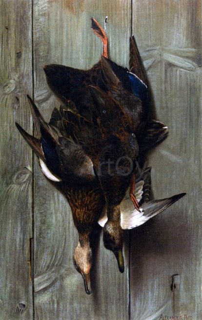  Alexander Pope Hanging Ducks - Canvas Art Print