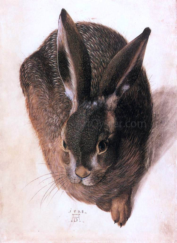  Hans Hoffmann Hare - Canvas Art Print