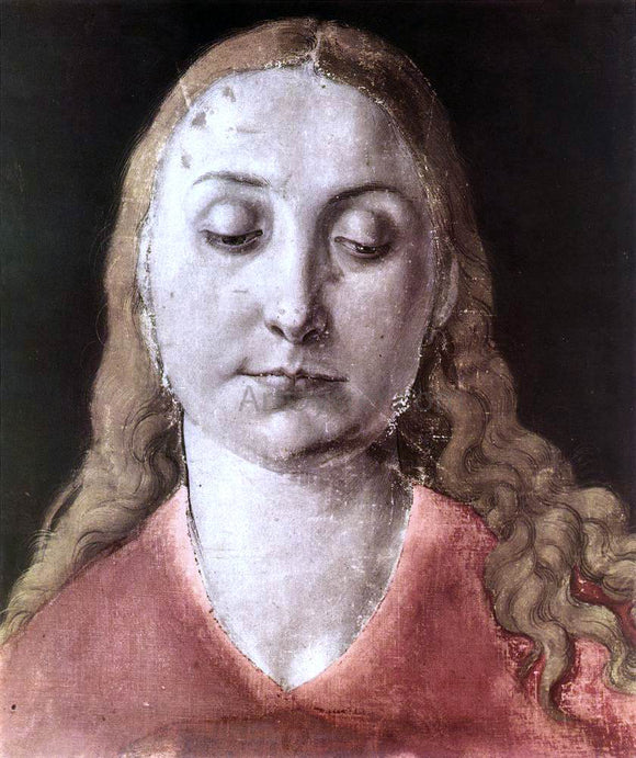  Albrecht Durer Head of a Woman - Canvas Art Print