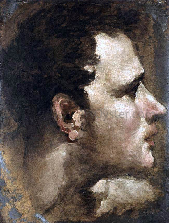  Domenico Beccafumi Head of a Youth Seen in Profile - Canvas Art Print
