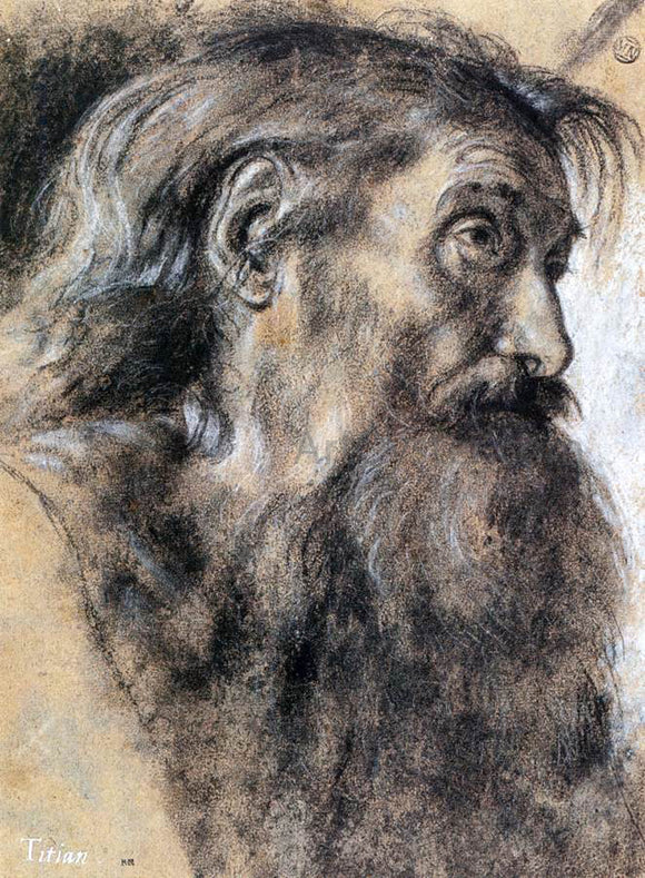  Giovanni Girolamo Savoldo Head of St Jerome - Canvas Art Print