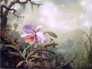  Martin Johnson Heade Heliodore's Woodstar and a Pink Orchid - Canvas Art Print