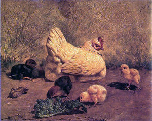  William Baptiste Baird A Hen and Chicks - Canvas Art Print