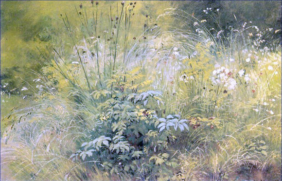  Ivan Ivanovich Shishkin Herbage (etude) - Canvas Art Print