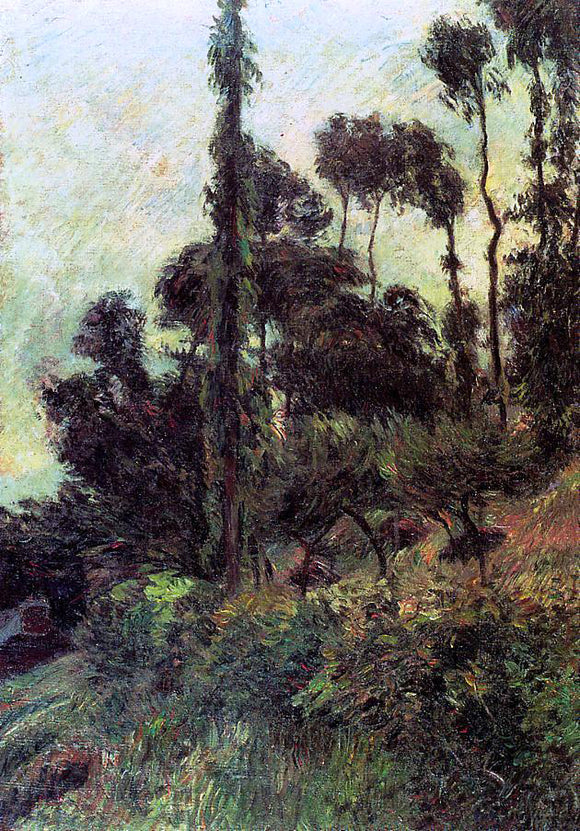  Paul Gauguin Hillside - Canvas Art Print