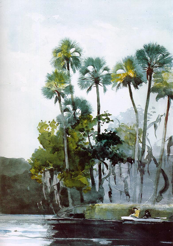  Winslow Homer Homosassa River - Canvas Art Print