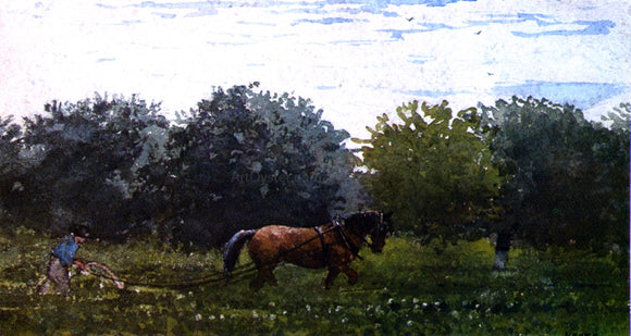  Winslow Homer Horse and Plowman, Houghton Farm - Canvas Art Print