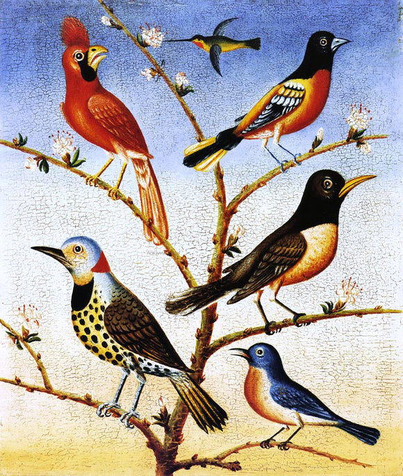  Thomas Coke Ruckle Humming Bird, Red Bird, Baltimore Bird, Robbin, Flicker, Blue Bird - Canvas Art Print