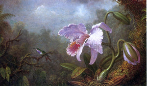  Martin Johnson Heade Hummingbird and Orchid - Canvas Art Print