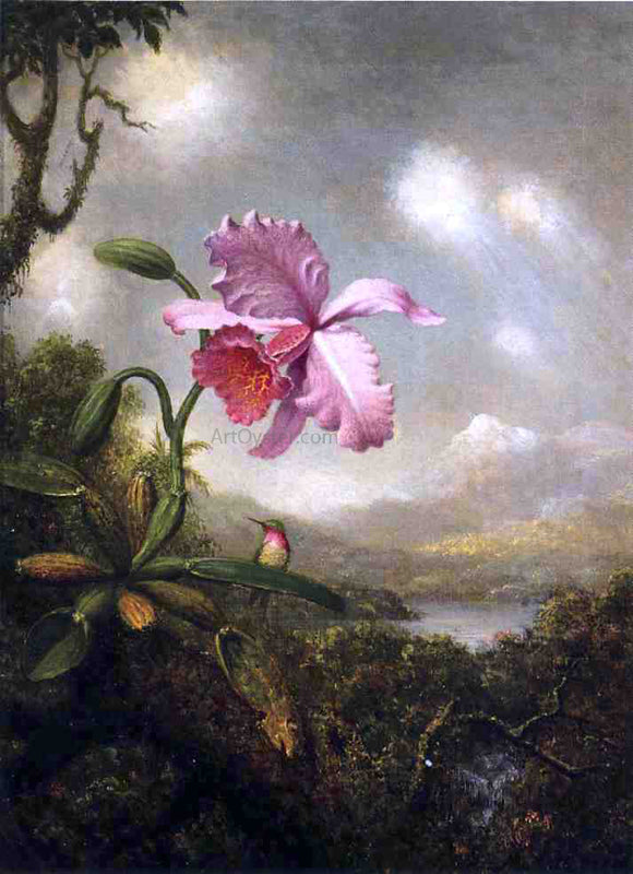  Martin Johnson Heade Hummingbird and Orchid: Sun Breaking Through the Clouds - Canvas Art Print