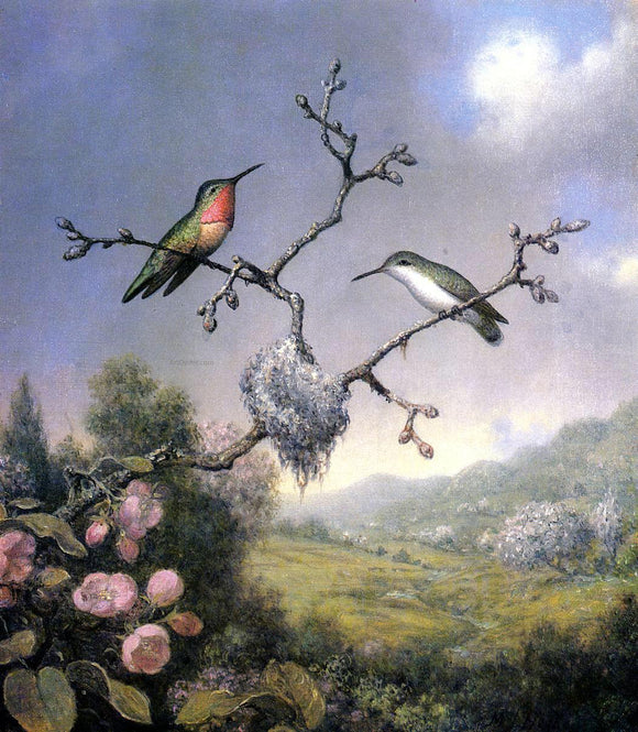  Martin Johnson Heade Hummingbirds and Apple Blossoms - Canvas Art Print