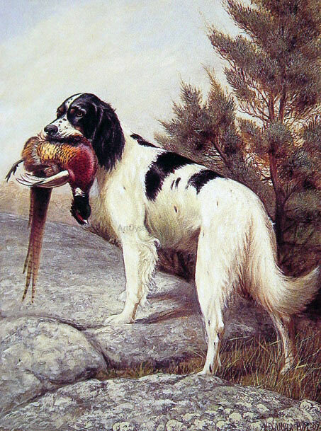  Alexander Pope Hunting Dog with Pheasant - Canvas Art Print