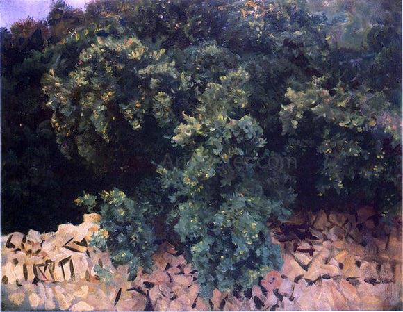 John Singer Sargent Ilex Wood, Majorca - Canvas Art Print