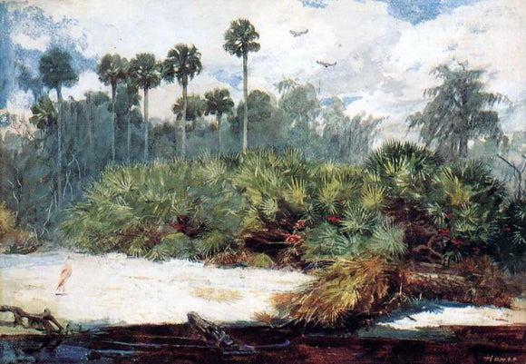  Winslow Homer In a Florida Jungle - Canvas Art Print