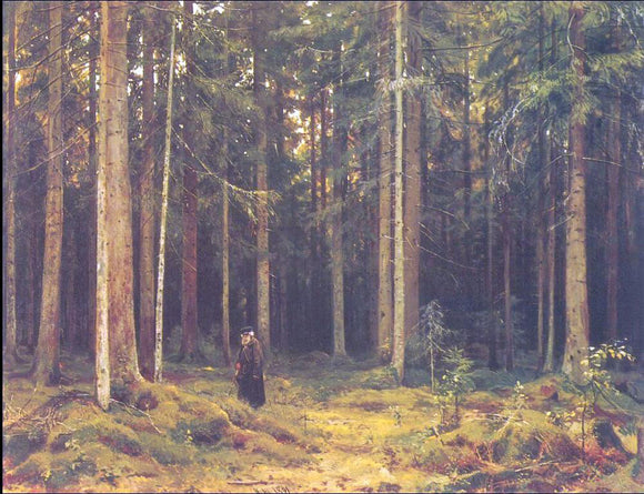  Ivan Ivanovich Shishkin In the Forest of Countess Mordvinova, Petergof - Canvas Art Print