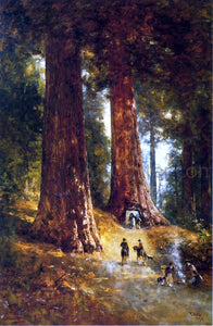  Thomas Hill In the Redwoods - Canvas Art Print