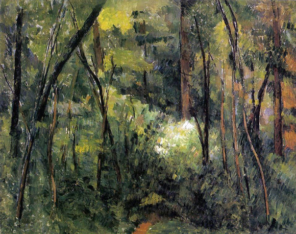  Paul Cezanne In the Woods - Canvas Art Print
