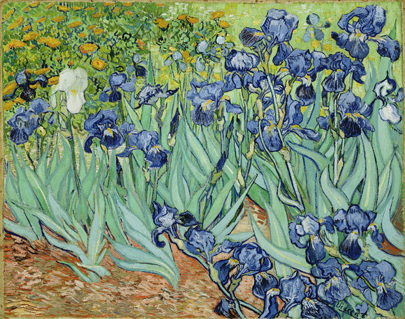  Vincent Van Gogh Irises - Canvas Art Print