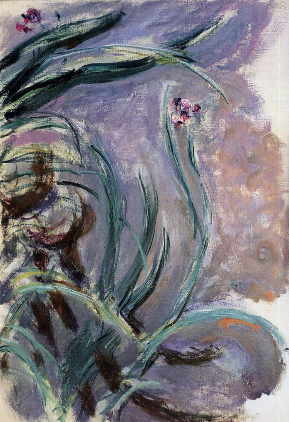  Claude Oscar Monet Irises - Canvas Art Print