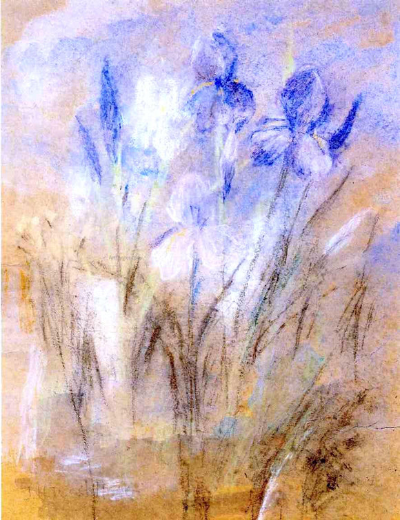  John Twachtman Irises - Canvas Art Print