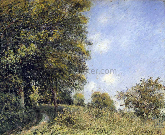  Alfred Sisley July Afternoon near the Forest - Canvas Art Print