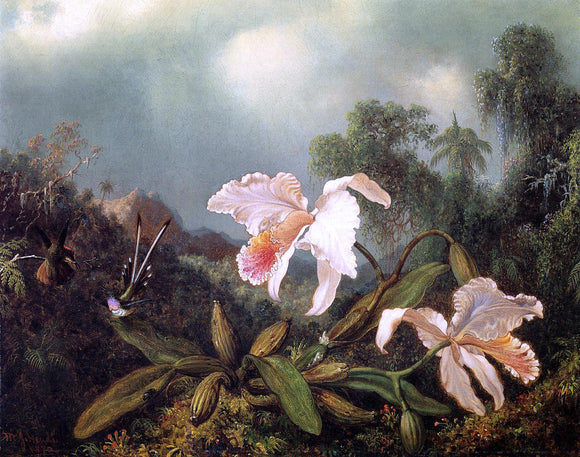  Martin Johnson Heade Jungle Orchids and Hummingbirds - Canvas Art Print