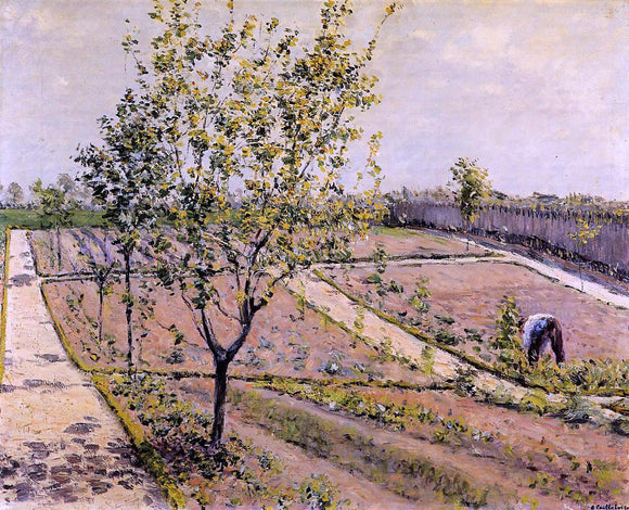  Gustave Caillebotte Kitchen Garden, Petit Gennevilliers - Canvas Art Print