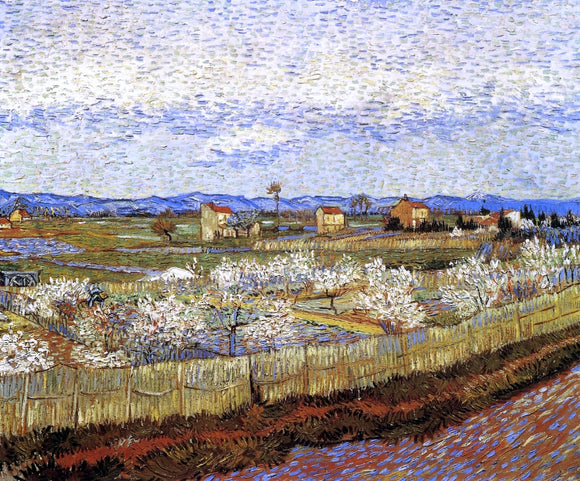  Vincent Van Gogh La Crau with Peach Trees in Bloom - Canvas Art Print