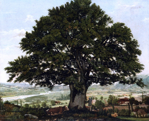  Jean-Jacques Rousseau La plaine dAnnecyu-Chene le vaterant des Alpes - Canvas Art Print