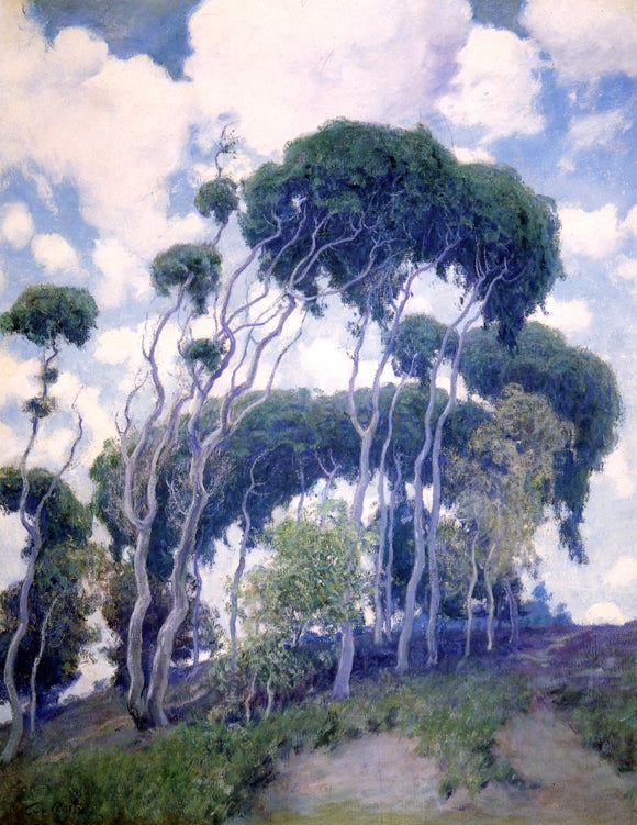  Guy Orlando Rose Laguna Eucalyptus - Canvas Art Print